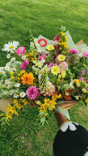 MOPI FLEURS - Visual