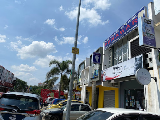 Mystique Catz Pet Shop