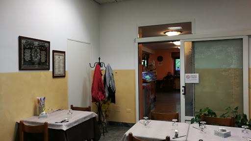 Bar Trota - Visual