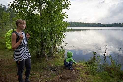 Selgjärv