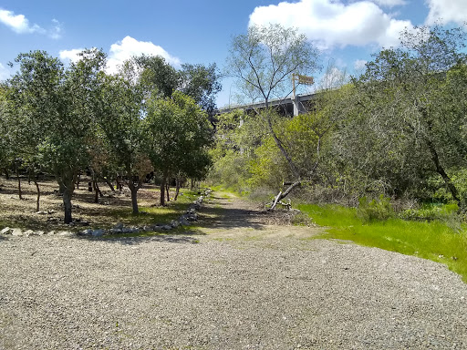 Crime Victim's Memorial Oak Garden - Thumbnail