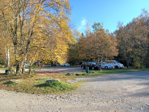 Waldparkplatz Schadenweilerhof - Thumbnail