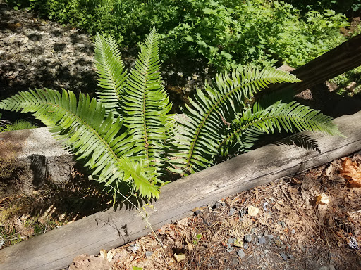 Big Pine Campground - Visual