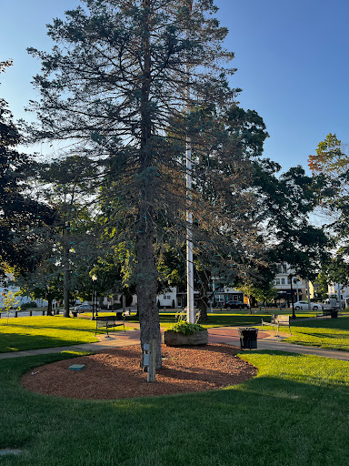 Mansfield Common - Visual