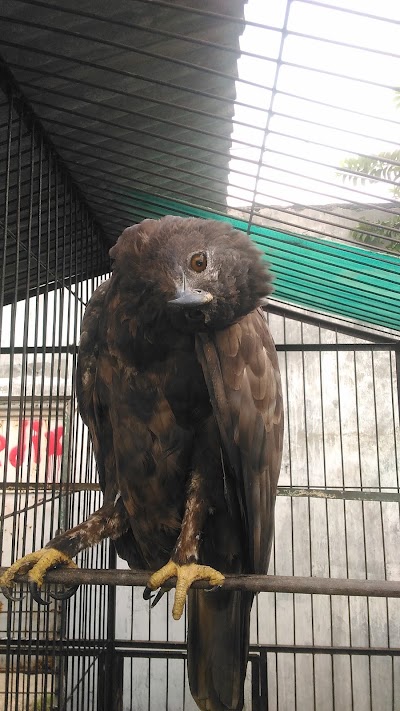 Photos of Perumahan Taman Tytyan Indah
