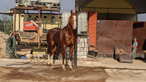 La "Coyotera" - Visual