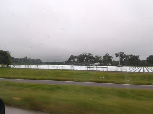 Country Oaks Adult Mobile Home Park - Thumbnail