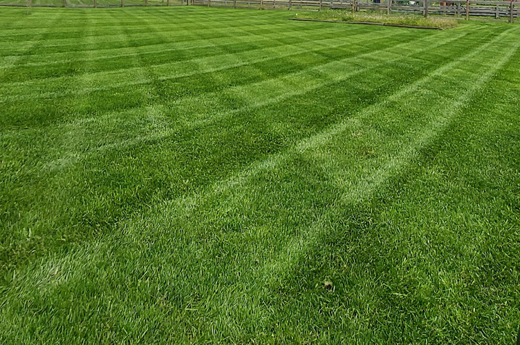 Schmidt's Lawn Care and Property Maintenance LLC