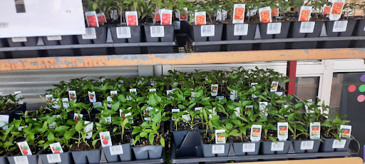 FreshCo Adelaide & Huron Gallery - Canada