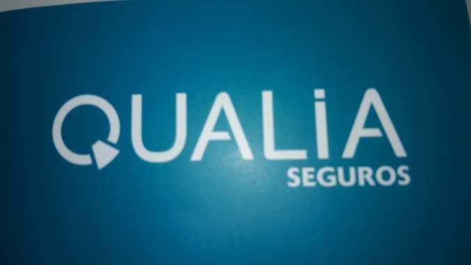 Qualia Seguros, Author: Laureano Priori