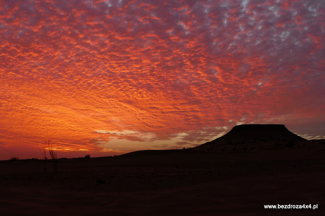 Jeziorna 32, 66-415 Kłodawa