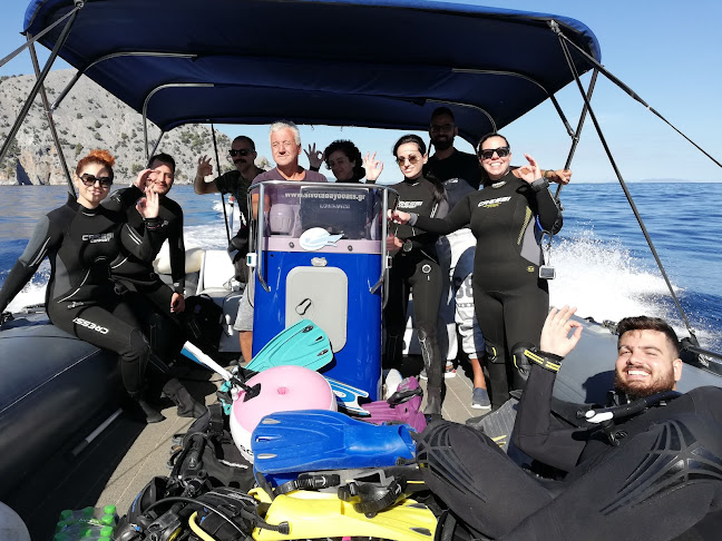 Comentarii opinii despre AegeanSeals Diving Center