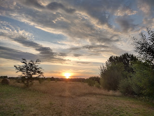Photo n°36 de Aux Petits Lardons à Trie-sur-Baïse (Appartement de vacances)
