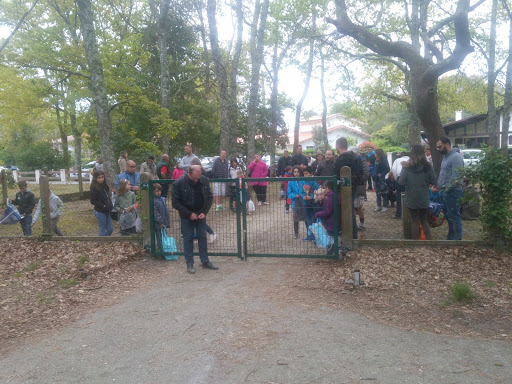 Parc du Château d'Arès - Thumbnail