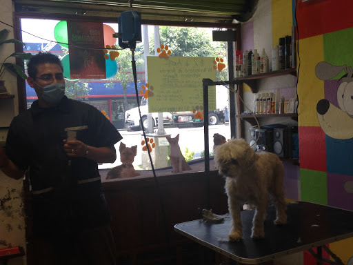 Hospital Veterinario Roma