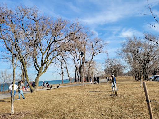 Confederation Beach - Thumbnail