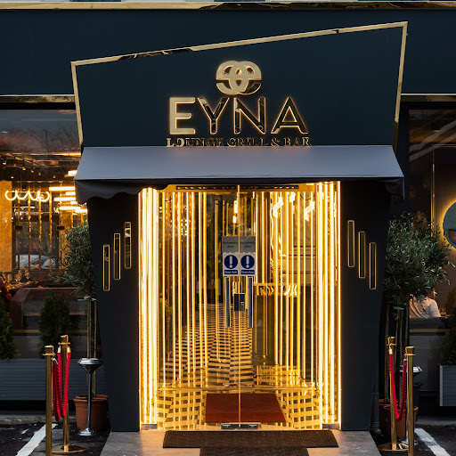 The Eyna - Visual