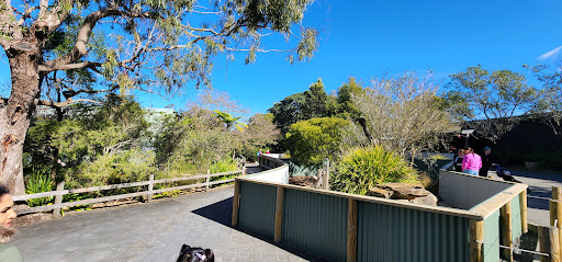 Symbio Wildlife Park, Lawrence Hargrave Dr - Thumbnail