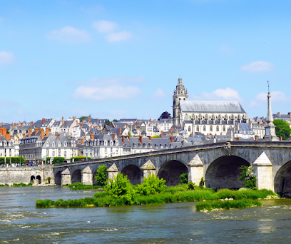Vast Blois Bilan De Compétences