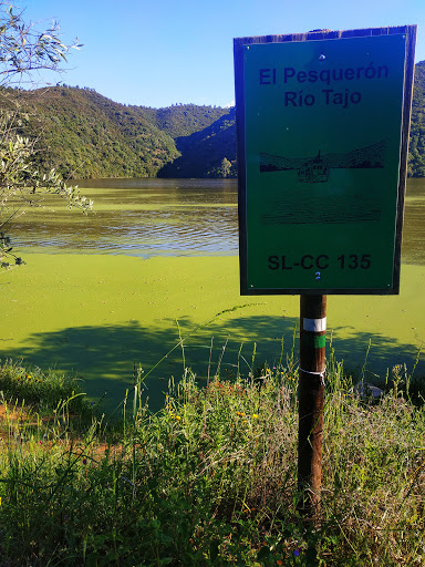 El Pesquerón - Visual