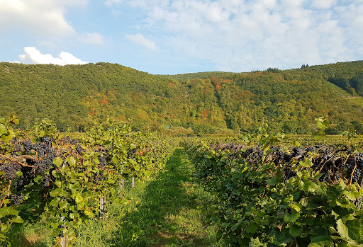 Dernau, Gewerbegebiet