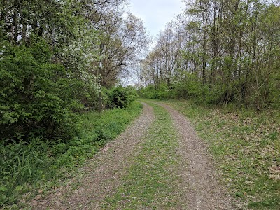 Photos of Boot Lake Nature Preserve