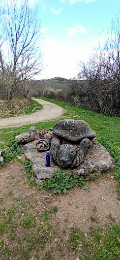 Tortugas esculpidas en granito Gallery - Spain