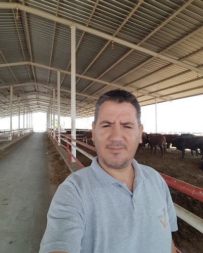 Photos of CEYHAN MERT VETERİNER KLİNİĞİ