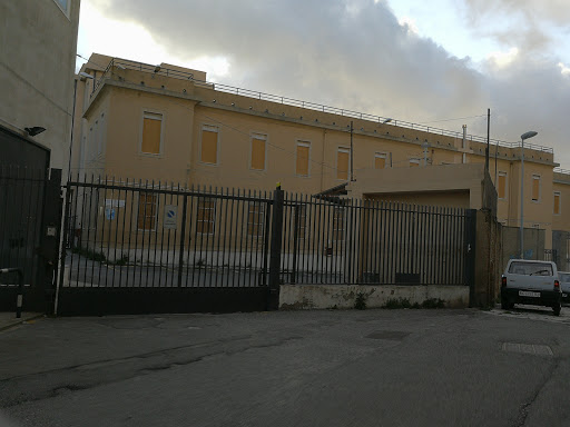 Institute of Higher Education - I.I.S. "Augusto Righi" - Thumbnail