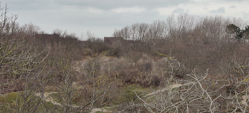Uitkijkpunt Westduinpark