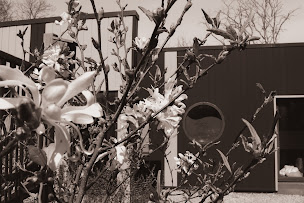 Photo n°5 de DUTRIEZ - Médecine Traditionnelle Chinoise à Melgven (Association ou organisation)