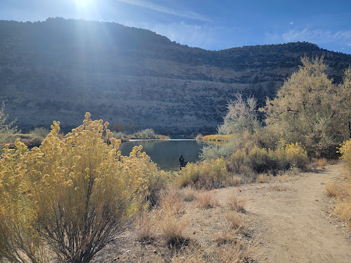 Cottonwood CampGround - Navajo Lake State Park - Thumbnail