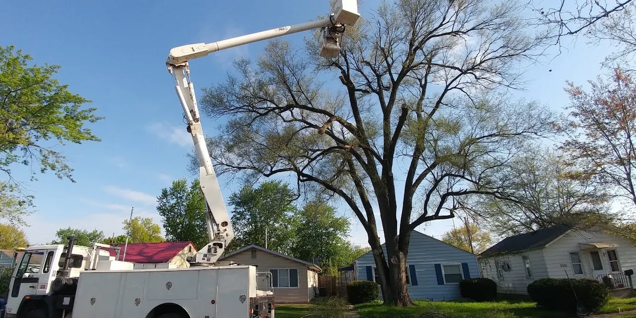 S & A Tree Service Fort Wayne