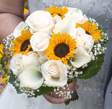 Blumen Outlet - Visual