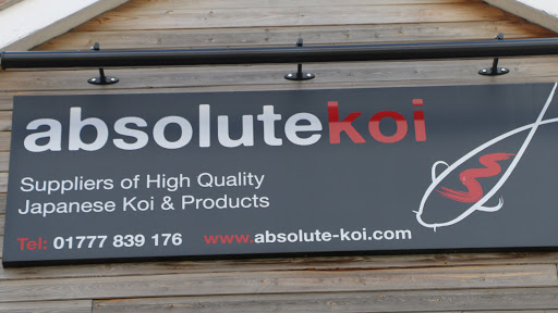 Absolute Koi Ltd Gallery - United Kingdom