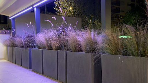DBA Garden Design