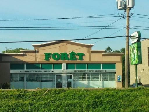 FORET MINI DEPOT - Visual