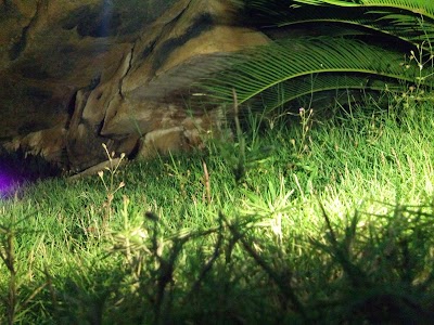 Photos of Taman Desa Bleber