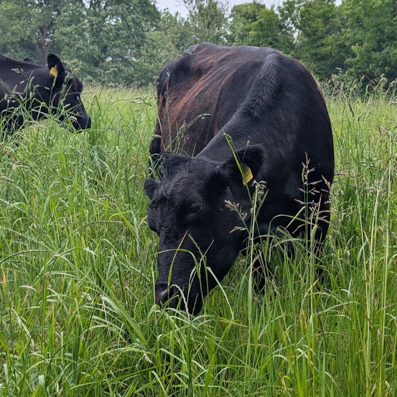 Tresemple farm photo 2