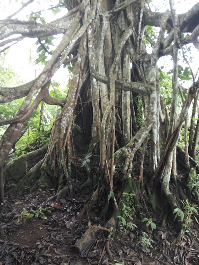 Photos of Maqam Syeh Bagus Santri