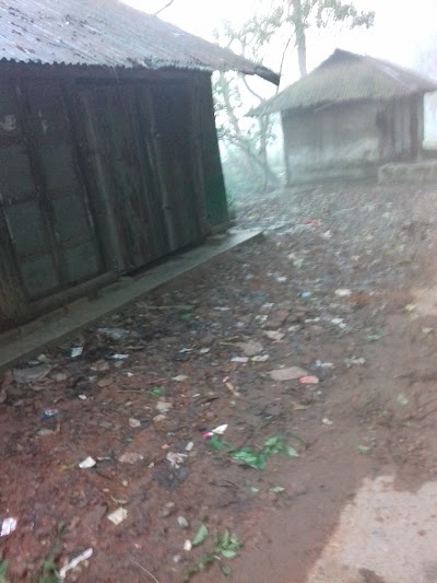 Photos of Popular Area Market