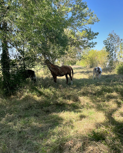 Photo de Domaine des Poirier à Tabanac (33550)