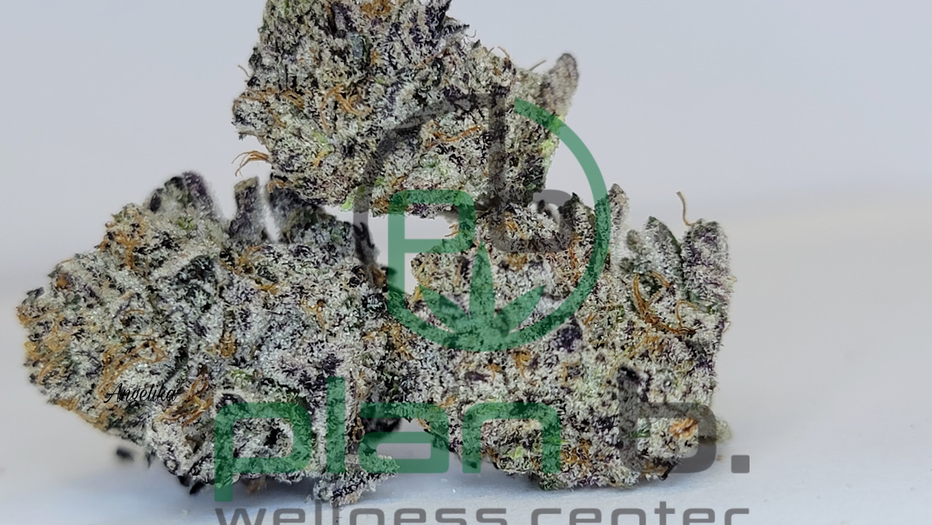 Plan B Wellness Center photo 3