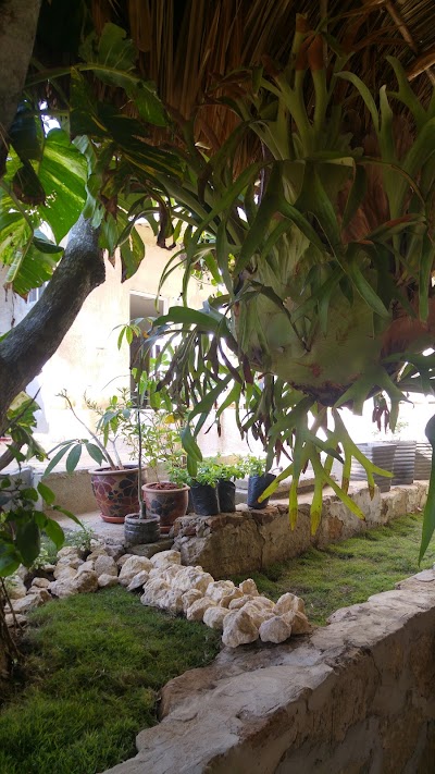 Photos of Mi Caba&ntilde;a Restaurante