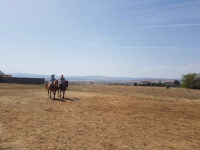 Photos of Equestrian Club "Favorit - Bogyovtsi"