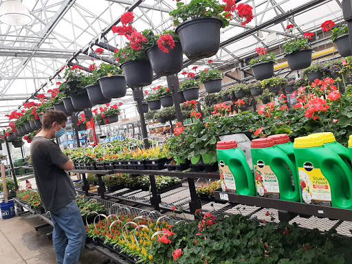 RONA+ Oshawa - Thumbnail