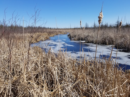 UWM Field Station - Thumbnail