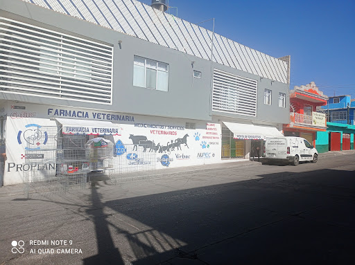 ms vet( medicamentos y servicios veterinarios)