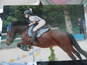 Photo n°21 de Ecuries des Collines à Doissin (Service de tours de poneys)