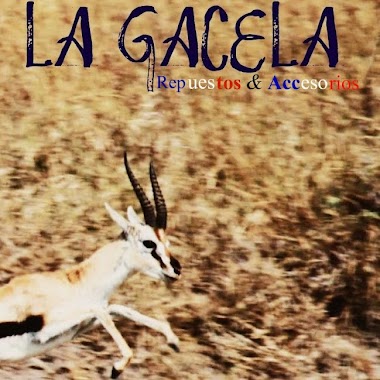 Repuestos La Gacela, Author: Repuestos La Gacela